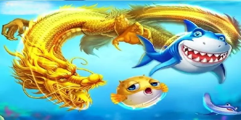 Mẹo chơi hay không nên bỏ lỡ khi tham gia bán cá rồng vàng